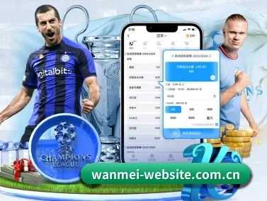 wm完美体育登录入口网站 APP